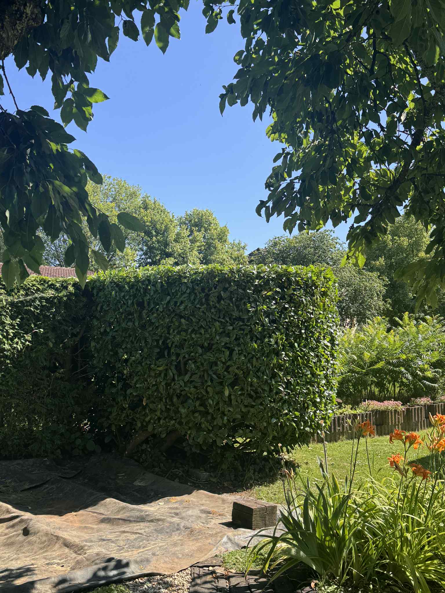 Jardin Projet 10 - Après