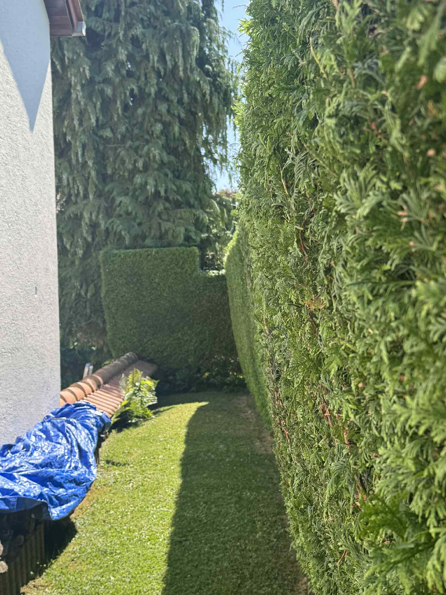 Jardin Projet 9 - Après