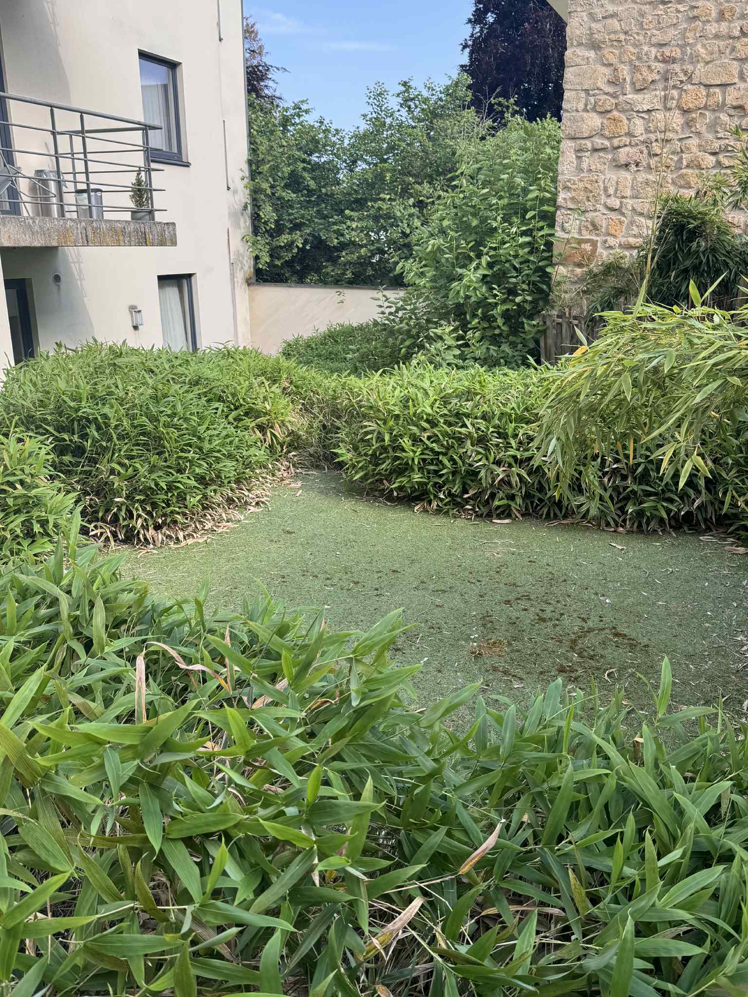 Jardin Projet 5 - Avant