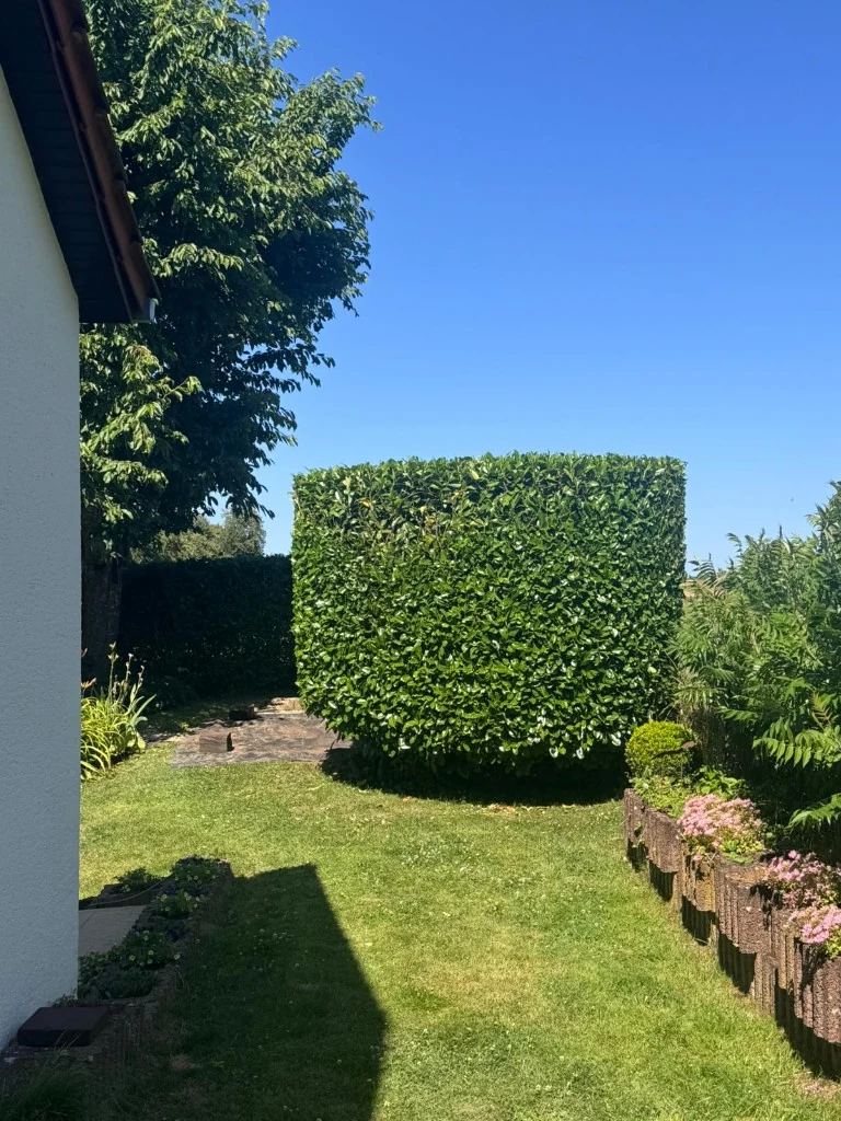Réalisation Pergola